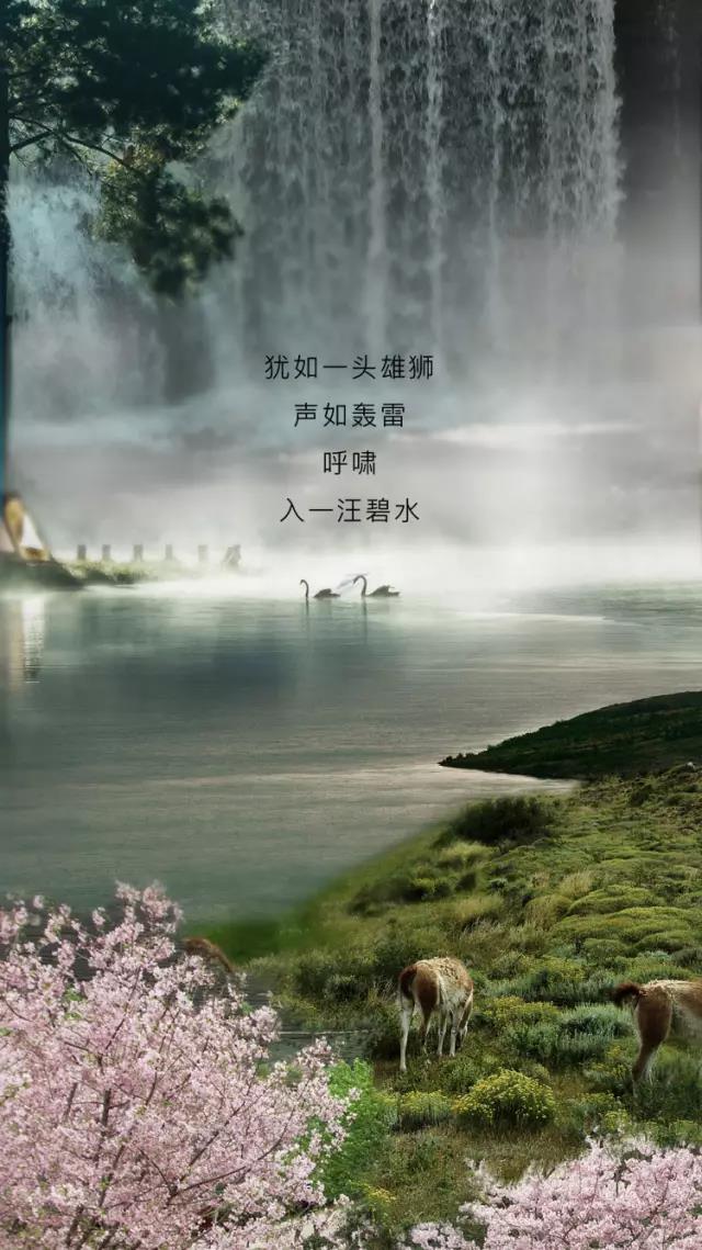 SAKURAŷABGE98ѹȼˮ